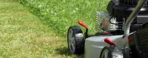 lawn and garden maintenance